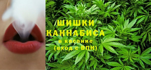 соль ск Абаза
