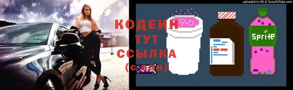 соль ск Абаза