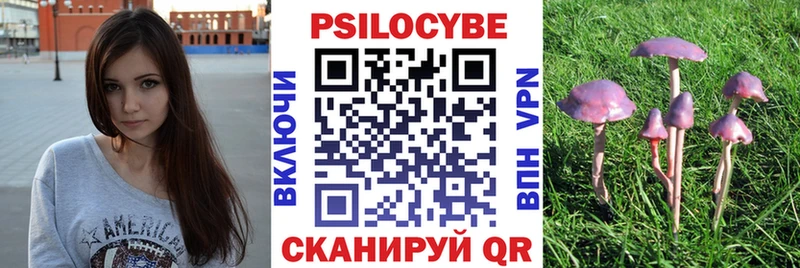 Псилоцибиновые грибы прущие грибы Тюкалинск